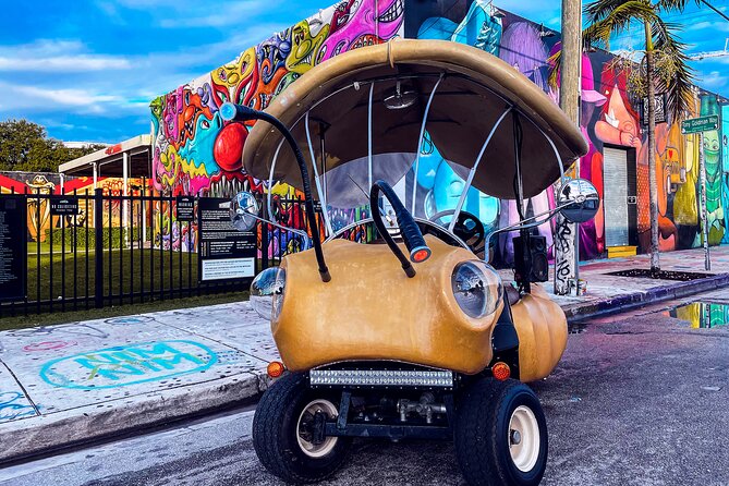 1 Hour Lady Buggy Art Tour Experience in Wynwood - Lady Buggy Wynwood: The 1-Hour Format That Works