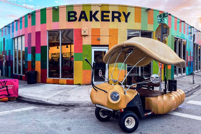 1 Hour Lady Buggy Art Tour Experience in Wynwood - The Guide Factor: Keep an Eye on Max