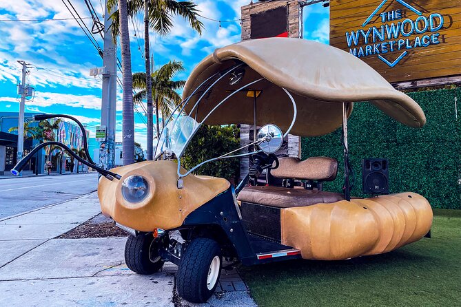 1 Hour Lady Buggy Art Tour Experience in Wynwood - Meeting at 2320 NW 2nd Ave: Getting Started Smoothly