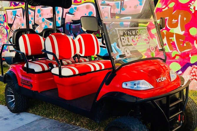 1 Hour WYNWOOD BUGGIES tour - Mural Stops: How They Fit a Lot Into One Hour