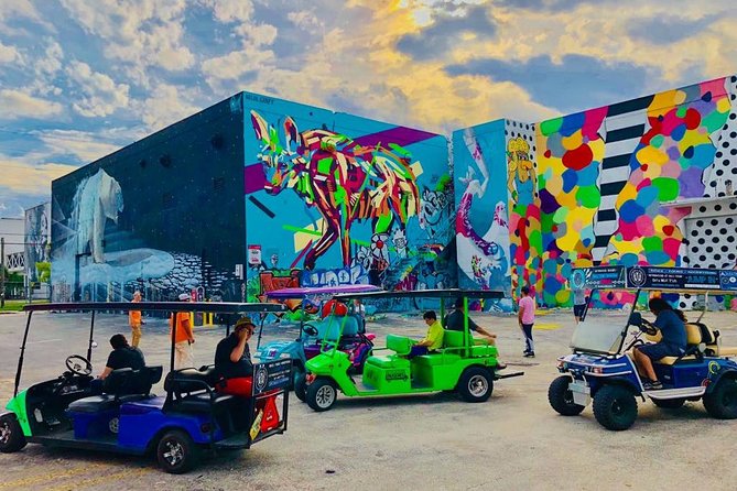 1 Hour WYNWOOD BUGGIES tour - Photo Strategy: What to Bring and How to Use Your Stops
