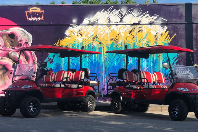 1 Hour WYNWOOD BUGGIES tour - Finish Near Wynwood Walls: Keep Going or Head Back