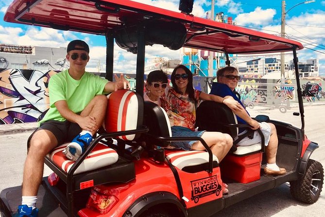 1 Hour WYNWOOD BUGGIES tour - Included vs Not Included: What You’re Paying For