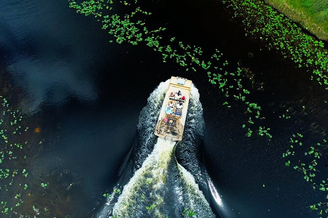 1 hr Private Airboat Everglades Tour near Miami - The 60-Minute Airboat Ride: Speed, Safety, and Whether You’ll Get Wet