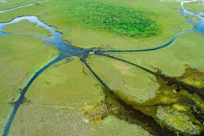 1 hr Private Airboat Everglades Tour near Miami - What the Private Format Changes for Your Photos and Your Questions
