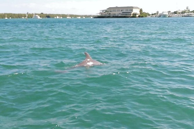26 Ft Boat, Miami Bay Tour for 2 or 4 hours. 10 people - “Itinerary” in real life: common Miami Bay stops to aim for