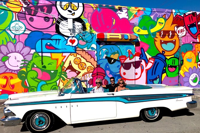 2H Private Classic Car Tour Miami Beach & Wynwood - Wynwood from the road: murals you see from the rolling front row