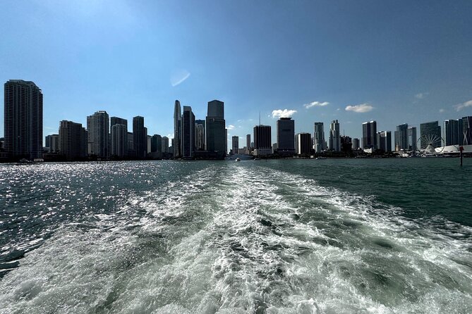 3 Hour Party Boat Jet ski Banana Tube and open bar in Miami - Sightseeing stops: Star Island, Miami Beach, Fisher Island, and more