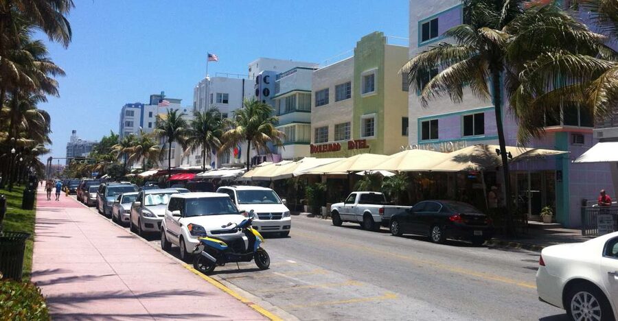 4 Hour Private Miami City Tour - The guide experience: extensive commentary that helps you plan your next moves