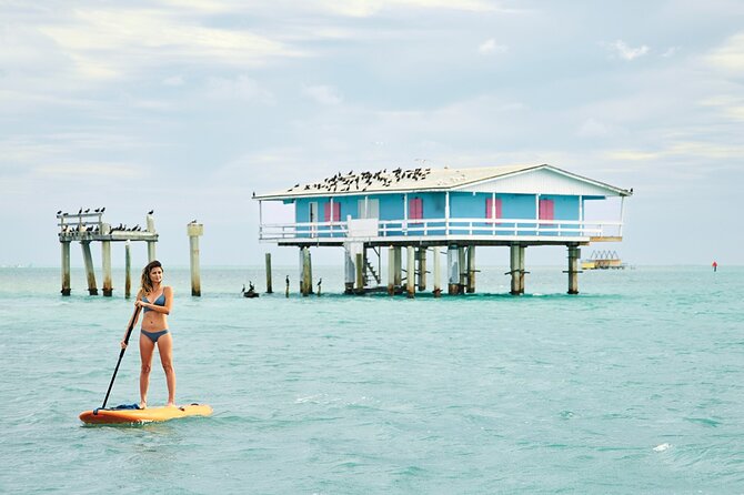 50' Private Yacht Experience in Miami for 12 people - Your route: Miami River, Biscayne Bay, then Miami Beach