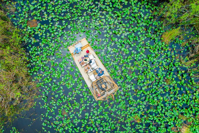 60 min. Everglades Airboat ride & pick-up ,small group +pro guide - Wildlife Management Area airboat: River of Grass, speed, and where to sit