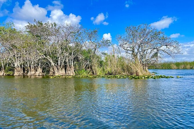 60 min. Everglades Airboat ride & pick-up ,small group +pro guide - How much time you really spend in this 4-5 hour day