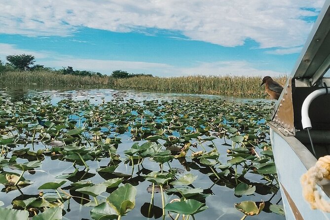 60 min. Everglades Airboat ride & pick-up ,small group +pro guide - Practical tips that make the day smoother