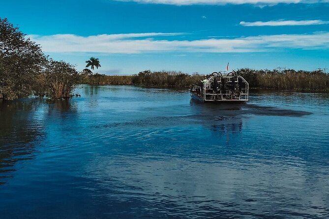 60 min. Everglades Airboat ride & pick-up ,small group +pro guide - The alligator rescue show and that quick stop for souvenirs