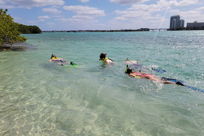 Beginner Friendly Island Snorkeling - Key things I’d plan around