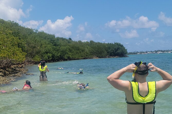 Beginner Friendly Island Snorkeling - Price and Value: Is $99 Worth It?