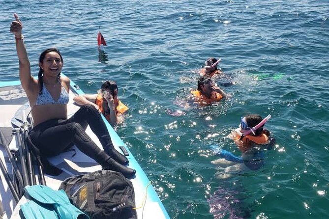 Beginner Friendly Island Snorkeling - Snorkeling for Beginners: What to Expect Underwater
