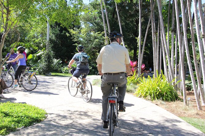 Bicycle Rental in Miami Beach - Heat, Comfort, and the Bike-Condition Check You Should Do