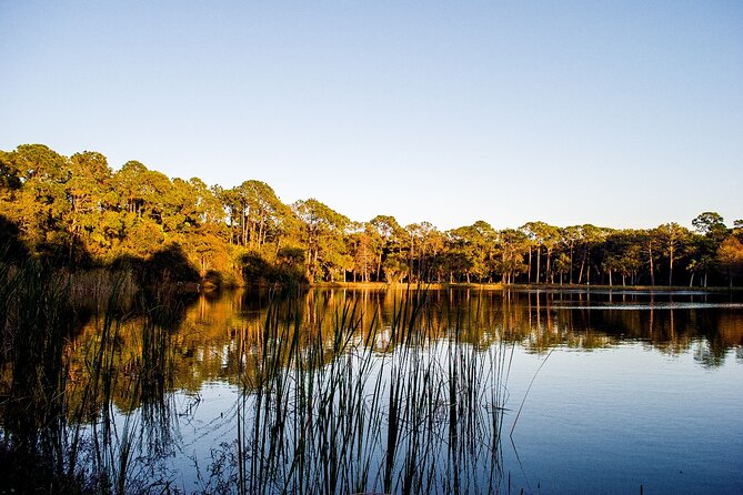 Big Cypress National Preserve Self Guided Driving Audio Tour - Price and value: $16.99 for up to four people