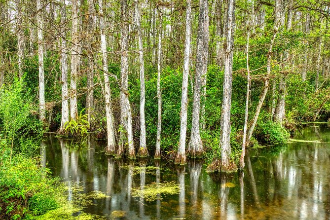 Big Cypress National Preserve Self Guided Driving Audio Tour - Stop 1: US Highway 41 and the Indigenous roots behind the region