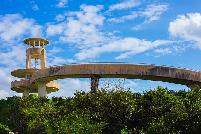 Big Cypress National Preserve Self Guided Driving Audio Tour - Starting point: 29701 Southwest 8th Street and that Buffalo Tiger landmark
