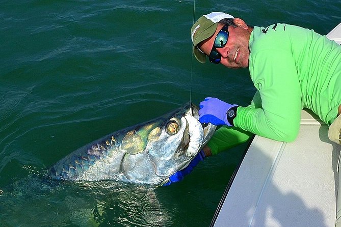 Biscayne Bay Inshore Flats Fishing - Biscayne Bay flats: why shallow water changes everything