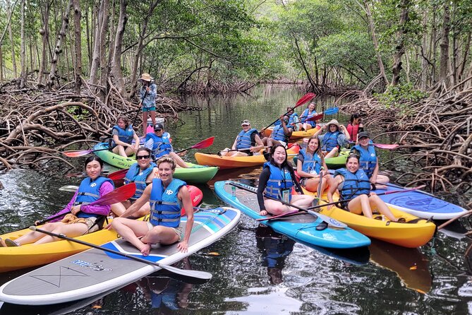 Biscayne Bay Island and Nature Exploration - Sandspur-to-Raccoon Island Paddling: Wildlife Watching That Feels Real