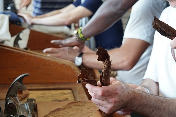 Cigar Factory Tour in Little Havana, Miami - Twisting, Binding, Pressing, Rolling: Watching the Craft in Motion