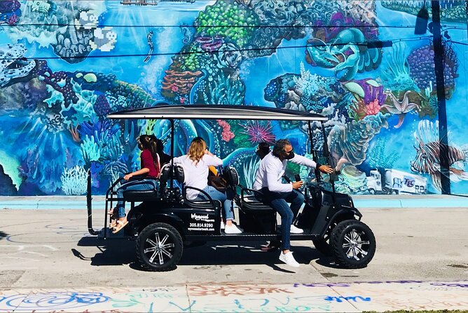 City Tour: Miami, Wynwood, and Little Habana + Cruise Tour - Wynwood: art walls and an easy walk-through pace