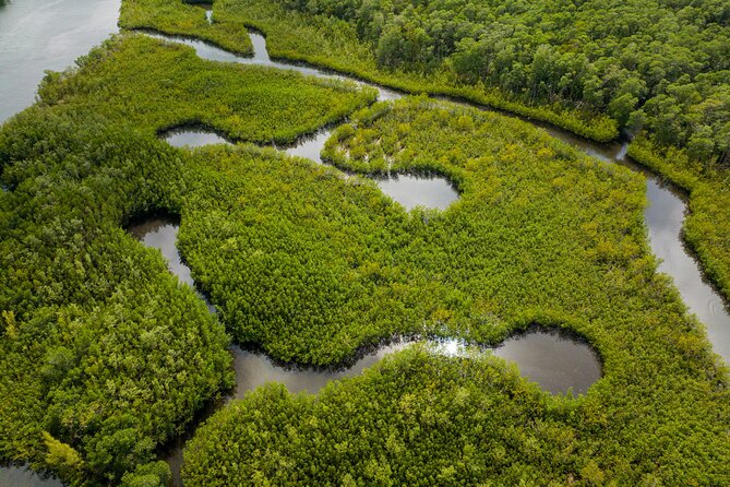 Clear Kayak Tour in North Miami Beach - Mangrove Tunnels - Oleta River State Park: Why This Route Works So Well