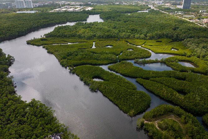 Clear Kayak Tour in North Miami Beach - Mangrove Tunnels - Wildlife and What You Can Actually See Through the Clear Bottom