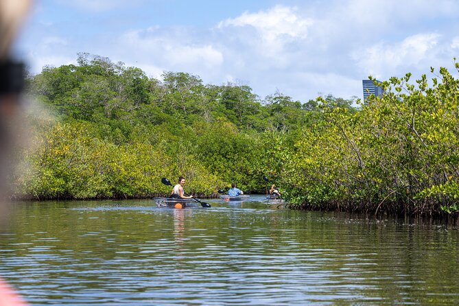 Clear Kayak Tour in North Miami Beach - Mangrove Tunnels - Weather and Tides: The Two Things That Control Your Experience