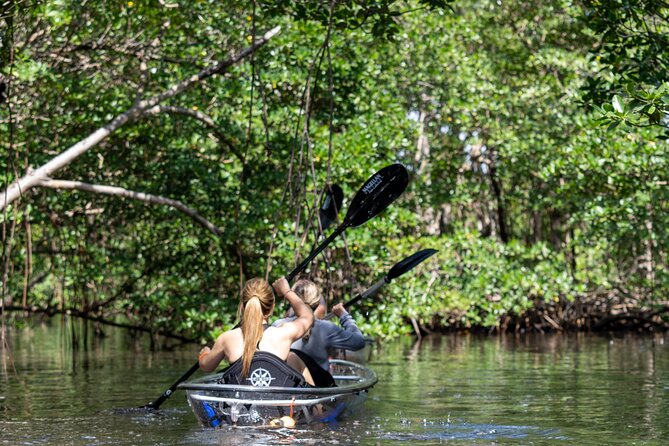 Clear Kayak Tour in North Miami Beach - Mangrove Tunnels - Tandem Kayaks for Couples: Less Stress, More Together Time