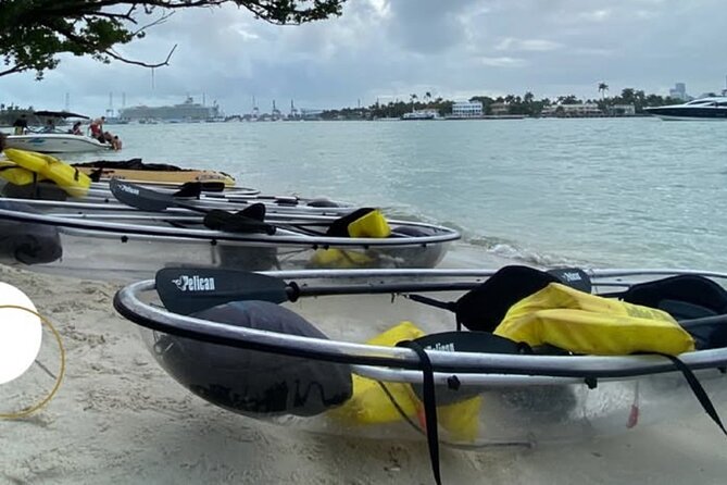 Clear Kayak Tour in South Miami Beach and Biscayne Bay - Key Things You’ll Notice on This Clear Kayak Tour