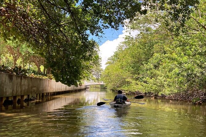 Clear Kayak Tour in South Miami Beach and Biscayne Bay - From Your Kayak Seat: Why Clear Kayaks Change the Whole Experience