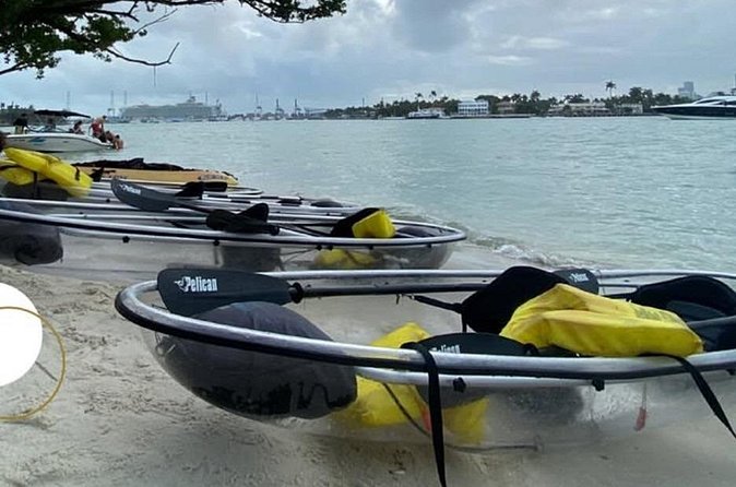 Clear Kayak Tour in South Miami Beach and Biscayne Bay - Meet Point at 2400 Collins Ave: Why Location Simplifies Your Day