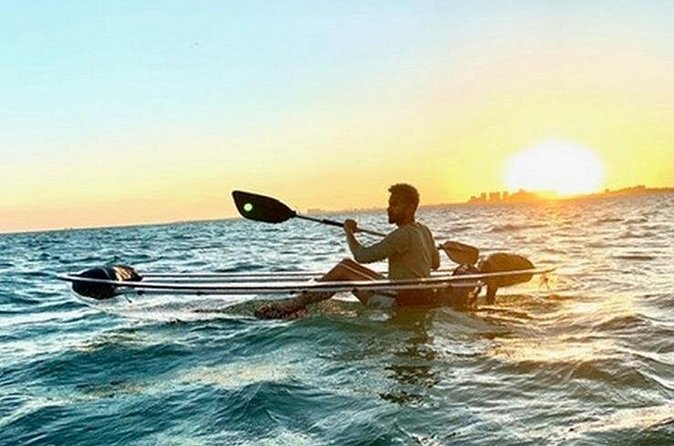 Clear Kayak Tour in South Miami Beach and Biscayne Bay - Price Check: Is $73 Worth It for Clear Kayak Time?