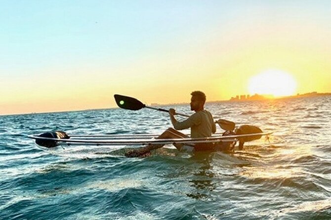Clear Kayak Tour in South Miami Beach and Biscayne Bay - The Guide Factor: Jojo and the Tone of the Experience