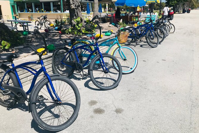 Cruiser Bike Rental at Crandon Park - Crandon Park Cruiser Basics: Starting Point and What’s Included