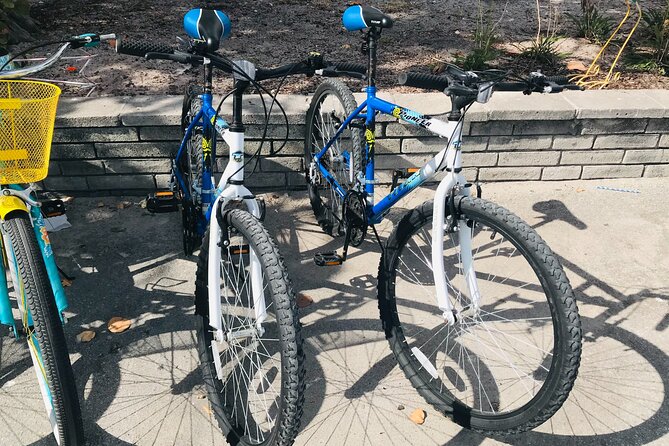 Cruiser Bike Rental at Crandon Park - Bike Quality and the Real Timing Math for a 1-Hour Rental