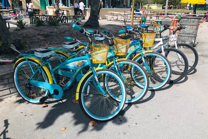 Cruiser Bike Rental at Crandon Park - Your Crandon Park Ride: Gardens, Butterfly Area, and the Family Stuff
