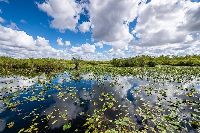 Depart from Miami to discover the Everglades with Airboat tour included! - A 4-Hour Everglades Plan Starting in Miami