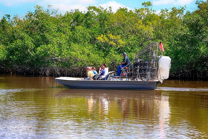 Depart from Miami to discover the Everglades with Airboat tour included! - Who Should Book This Airboat and Wildlife Day