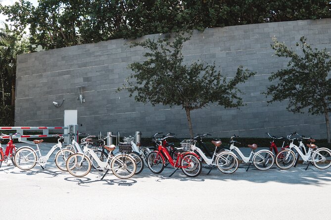 Electric Bike Tour in South Beach - The e-bike ride itself: speed, control, and guide support