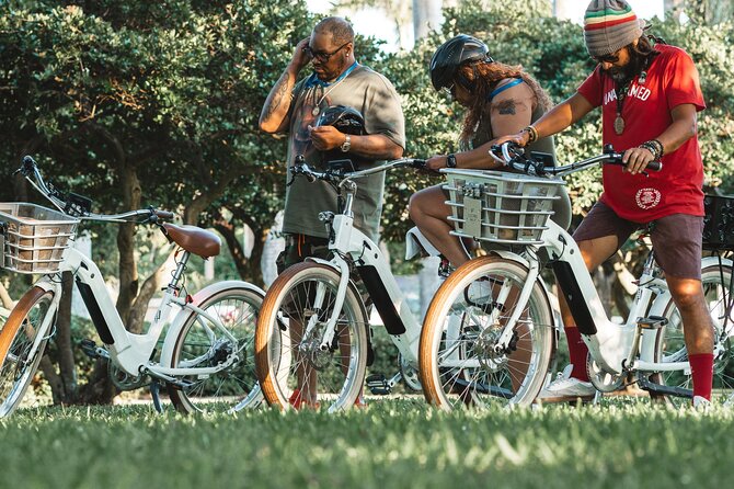 Electric Bike Tour in South Beach - Price and who this tour fits best