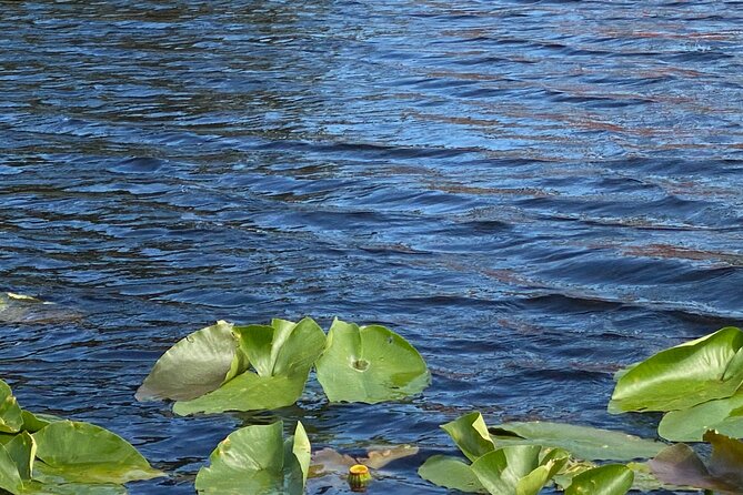 Everglades Airboat Adventure with Roundtrip Bayside Transfer - Group size and comfort: the tradeoff you’re paying for