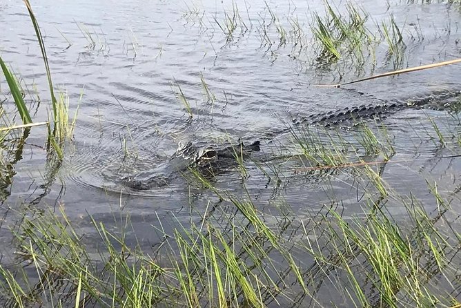 Everglades Airboat Safari Adventure with Transportation - What to wear and bring for an airboat safari day