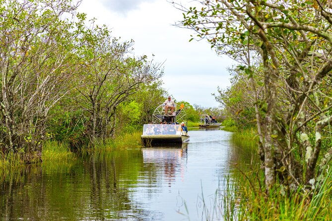 Everglades Airboat Safari Adventure with Transportation - Who this tour suits best (and who should skip it)