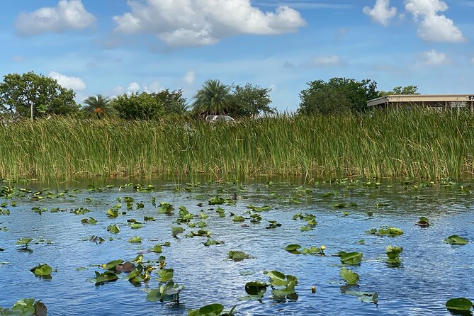 Everglades Airboat Tour with Roundtrip Transportation from Miami - What the Guides Help You Spot (and How to Improve Your Odds)