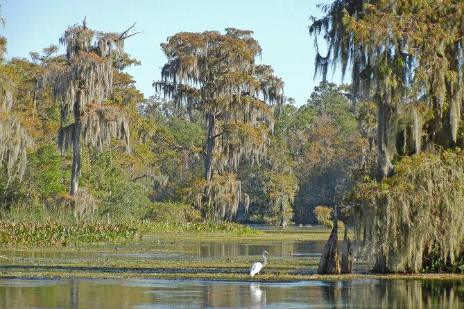 Everglades Airboat Tour with Roundtrip Transportation from Miami - Everglades National Park Time: What You Get With Those Hours